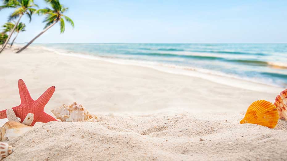 Beach Safety Tips image