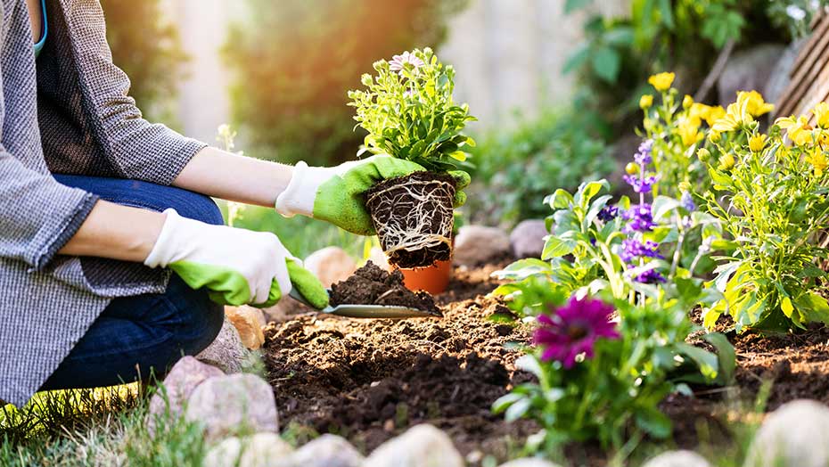 Tips for Yard Work Warriors image